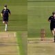 CricketAddictor